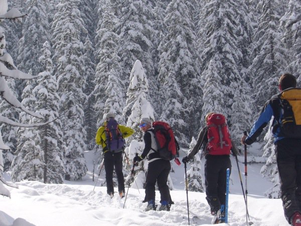 11-skitour kitzbhler alpen 2013