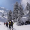 40-skitour kitzbhler alpen 2013