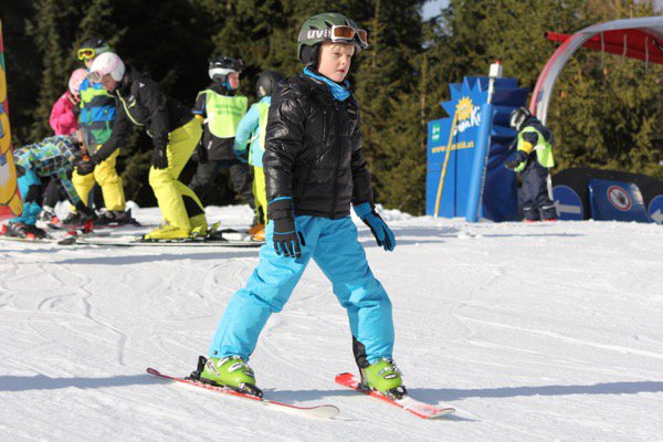 20-1. skikurstag