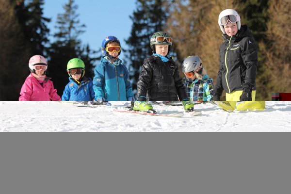 27-1. skikurstag