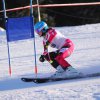 06-parallelslalom 2017